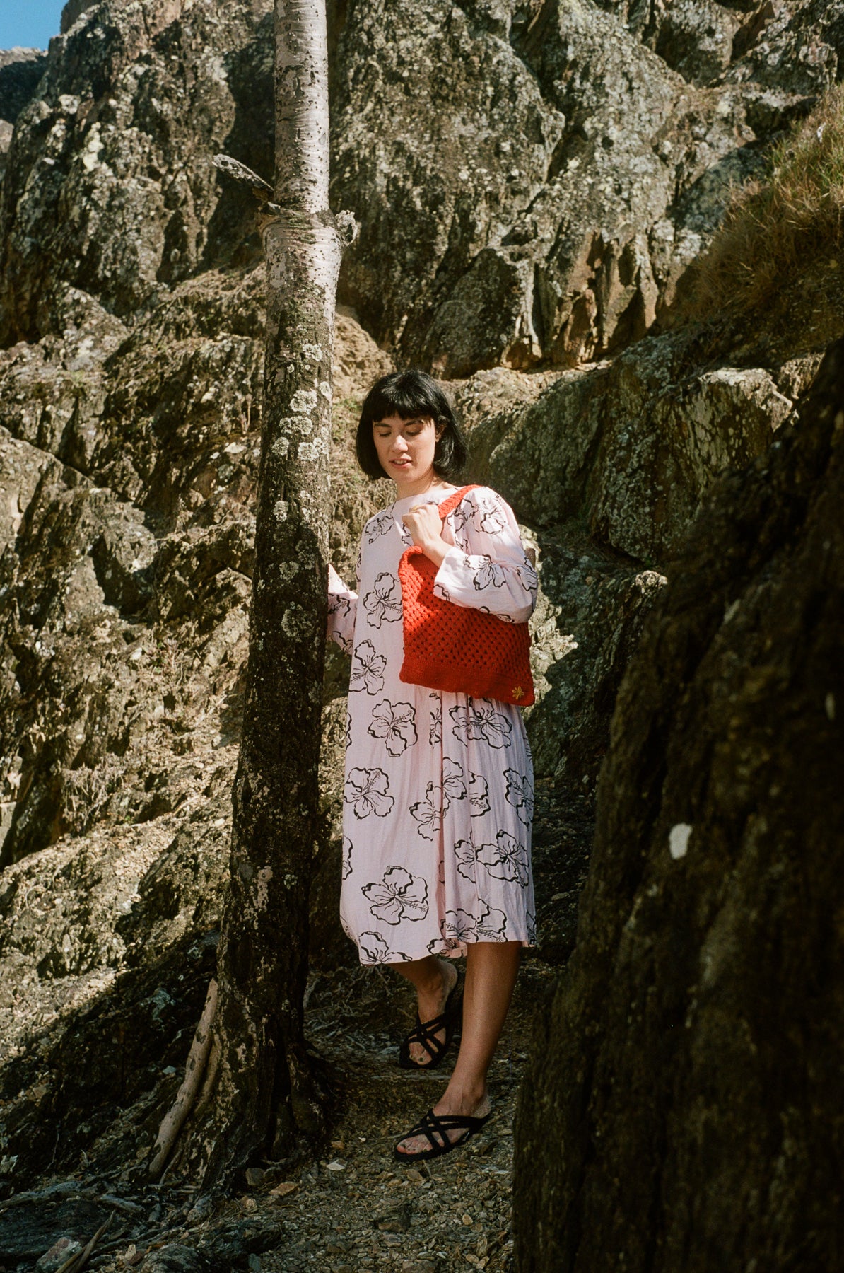 Ace Dress | Pink Hibiscus